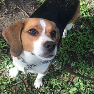 Meet your Posher, Ivey